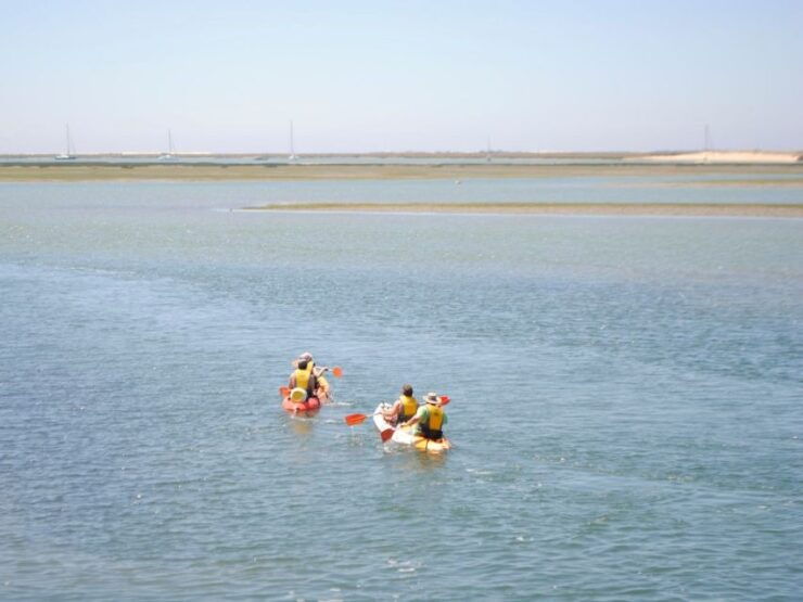 Algarve: 2-Hour Ria Formosa Kayak Tour From Faro - Booking Details