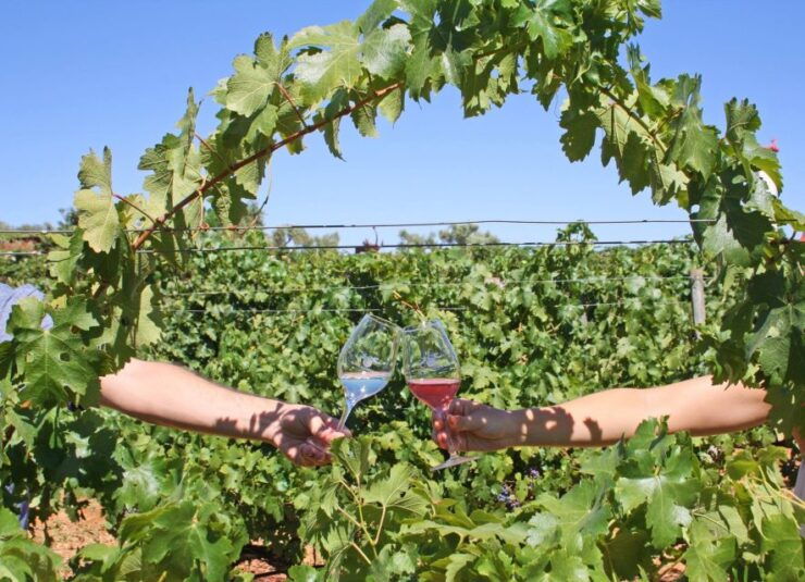 Algarve: 3 Types of Wine Tastings With Vineyard Views - Wine Tasting at Quinta Dos Vales