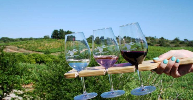 Algarve: 3 Types of Wine Tastings With Vineyard Views - Vineyard Views and Wine Pairing