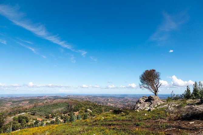 Algarve a La Carte - Must-Visit Attractions in Algarve