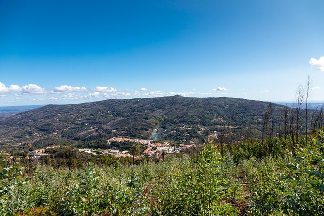Algarve a La Carte - Reviews of Algarve a La Carte
