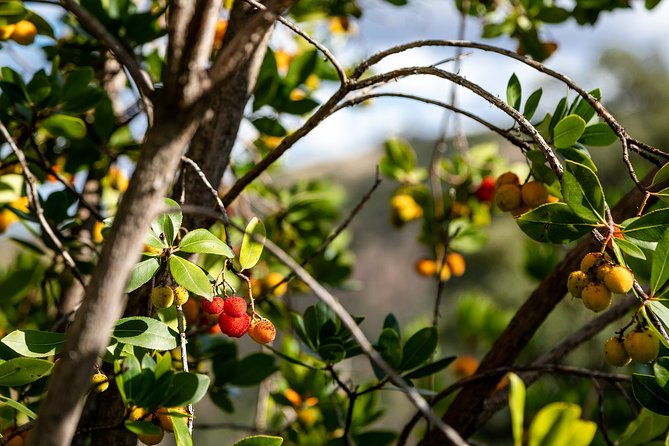 Algarve a La Carte - Additional Information and Support