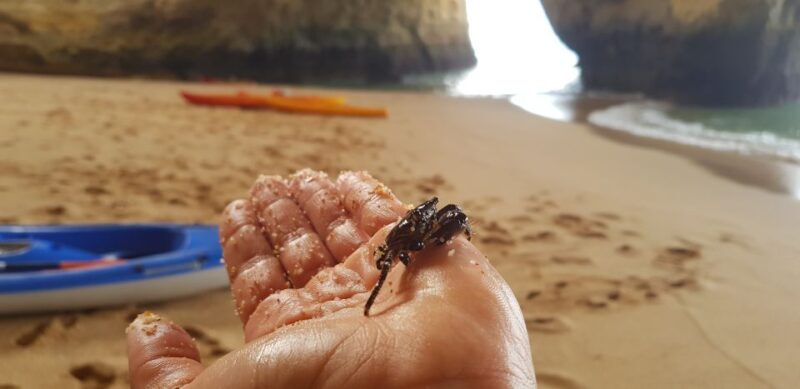 Algarve: Benagil Cave Sunrise Kayak Tour with Shower Use - The Sum Up