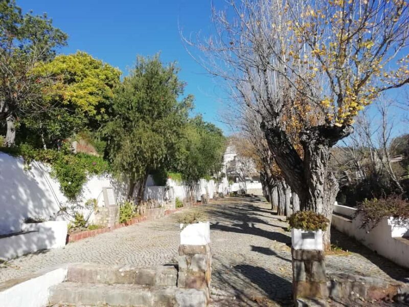 Algarve: Caldeirão Mountains and Villages Tour - An In-Depth Look at the Algarve Caldeirão Mountains and Villages Tour