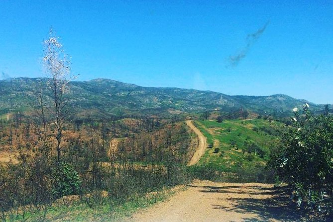 Algarve Charms - 7 Hours (Barrocal or Serra De Monchique) - Healing Thermal Springs