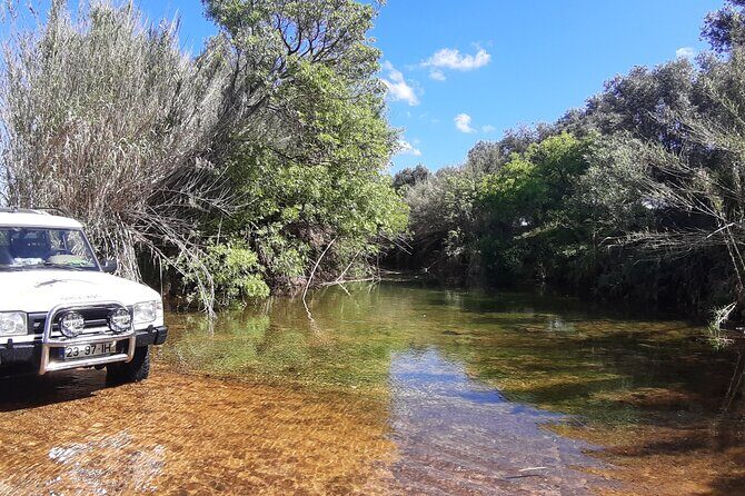 Algarve Charms - 7 Hours Private - An Overview of the Algarve Charms Experience