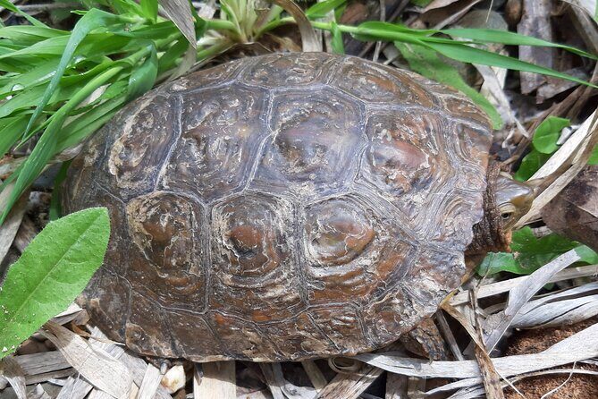 Algarve Charms - 7 Hours Private - The Guide: Knowledge and Hospitality