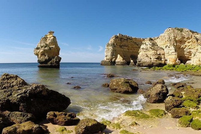 Algarve Coast & Chapel of Bones ( Private Van Tour ) - Tour Details