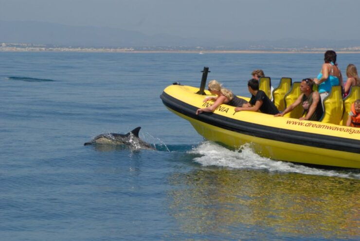 Algarve Coast: Dolphin Watching & Cave Tour - Experience Highlights