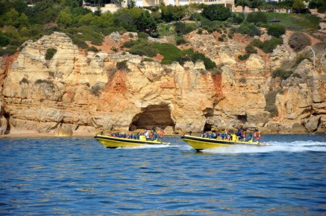 Algarve Coast: Dolphin Watching & Cave Tour - Participant and Date Selection