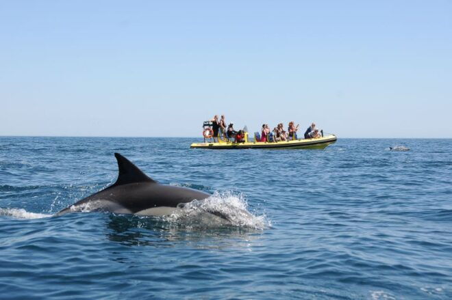Algarve Coast: Dolphin Watching & Cave Tour - Review Summary