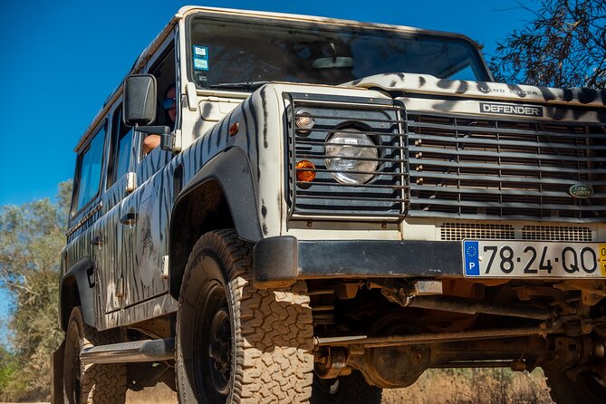 Algarve Coastline and Beaches Land Tour - Reviews and Additional Information