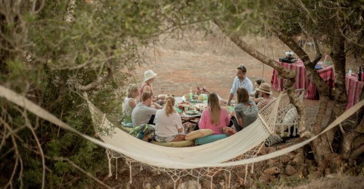 Algarve: Divine Dine in the Wild - Unique Dining Experience in Algarve
