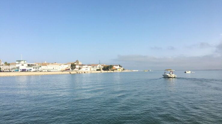 Algarve: Eco Boat Tour in the Ria Formosa Lagoon From Faro - Activity Details
