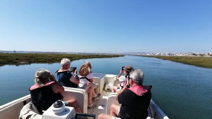 Algarve: Eco Boat Tour in the Ria Formosa Lagoon From Faro - Experience Highlights
