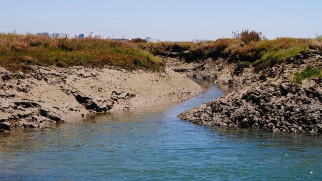 Algarve: Eco Boat Tour in the Ria Formosa Lagoon From Faro - Review 1