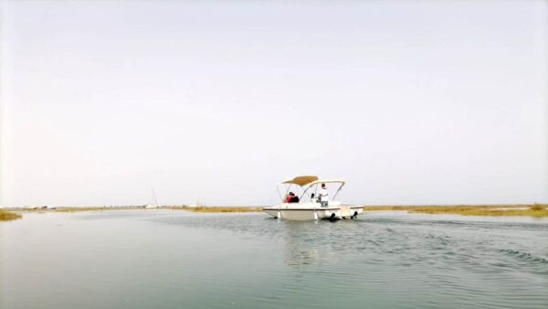 Algarve: Eco Boat Tour in the Ria Formosa Lagoon From Faro - Nature Exploration and Cultural Insights