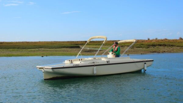 Algarve: Eco Boat Tour in the Ria Formosa Lagoon From Faro - Common Questions