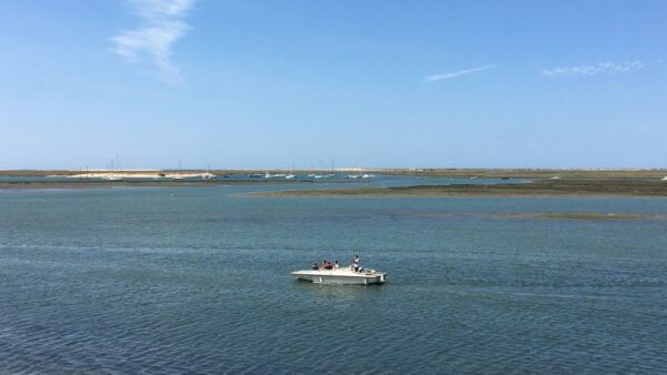 Algarve: Eco Boat Tour in the Ria Formosa Lagoon From Faro - The Sum Up