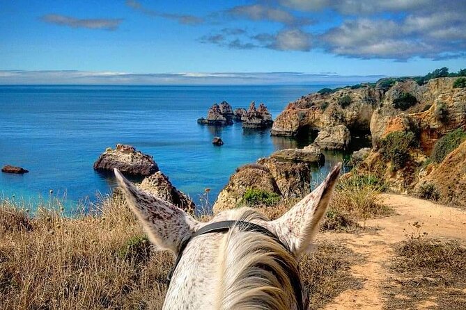 Algarve - Exclusive Horseriding in Portimao (No Experience Required) - Overview and Experience