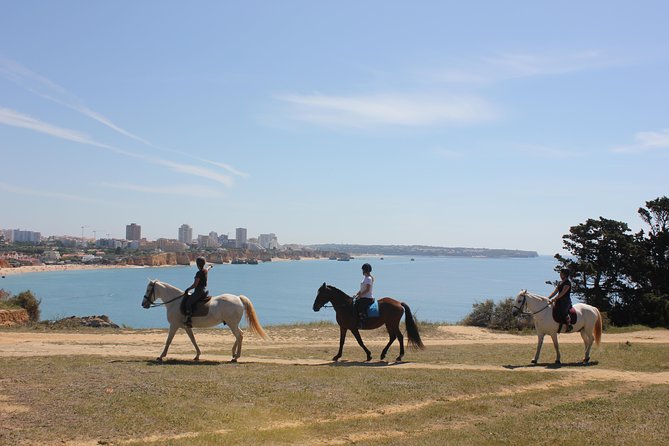 Algarve - Exclusive Horseriding in Portimao (No Experience Required) - Inclusions and Meeting Point