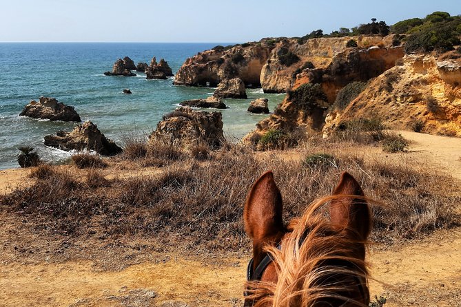 Algarve - Exclusive Horseriding in Portimao (No Experience Required) - Additional Information and Cancellation Policy