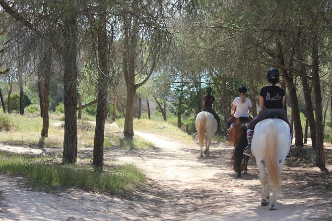 Algarve - Exclusive Horseriding in Portimao (No Experience Required) - Viator Help Center and Product Code