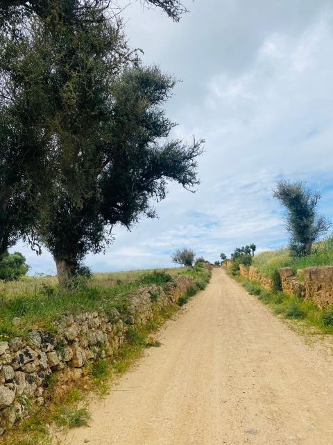 ALGARVE: FERRAGUDO E-BIKE GUIDED TOUR & WINE TASTING - What to Bring