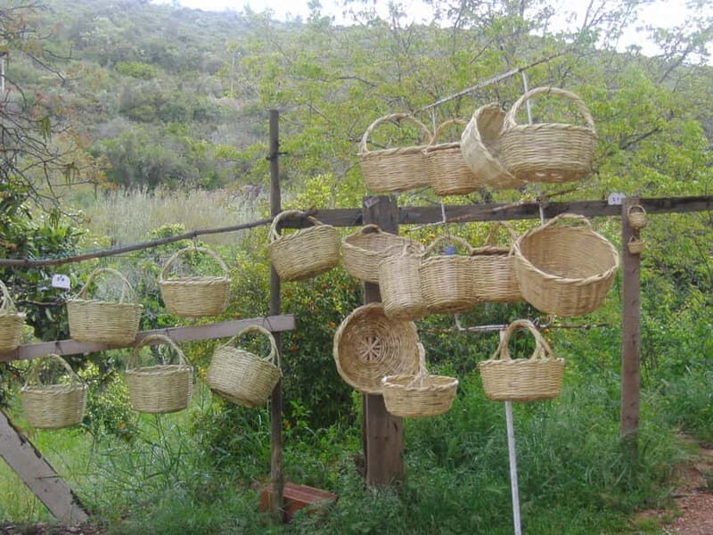 Algarve: Flavors and Traditions Tour - What You Can Expect from the Experience