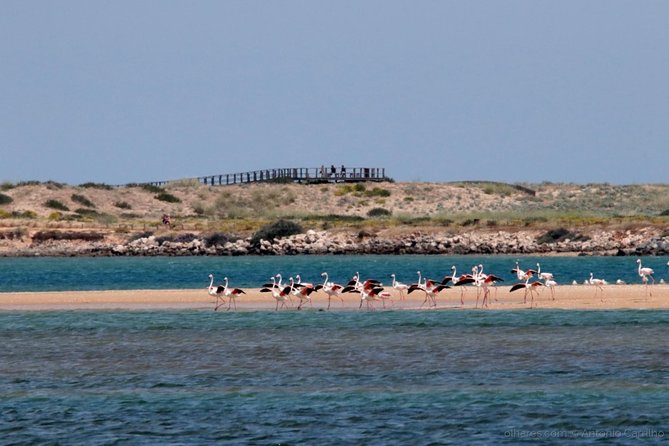 Algarve Full Day Among Moors & Romans - Meeting and Pickup