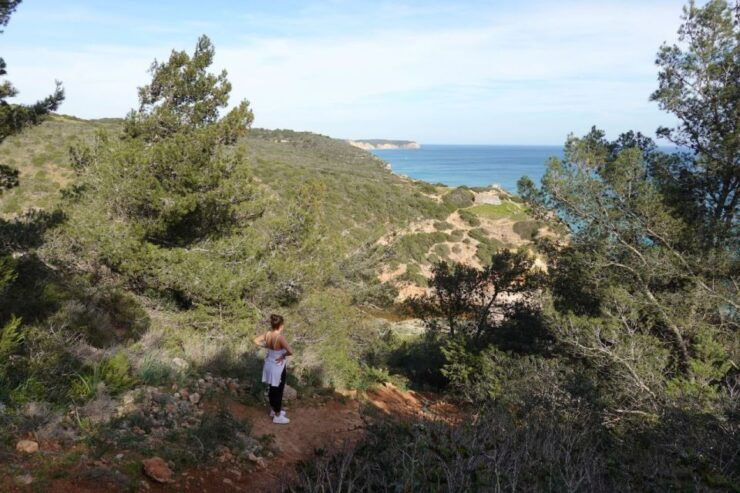 Algarve: Guided WALK in the Natural Park South Coast - Activity Highlights