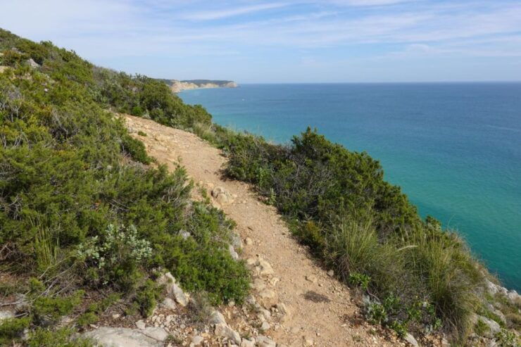 Algarve: Guided WALK in the Natural Park South Coast - Experience