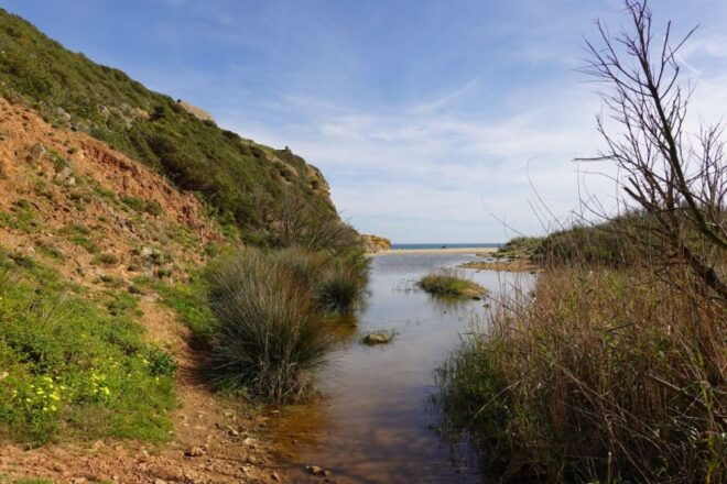 Algarve: Guided WALK in the Natural Park South Coast - Pickup Information