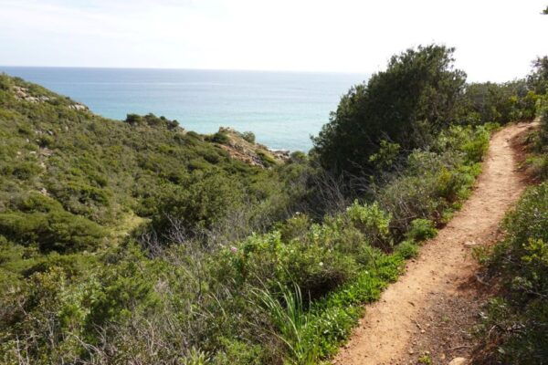 Algarve: Guided WALK in the Natural Park South Coast - Private Group Option
