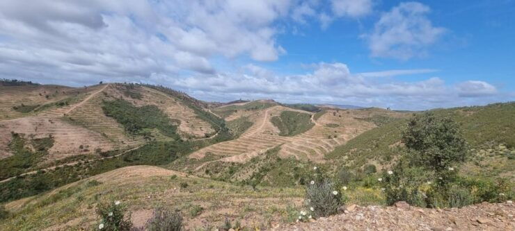 Algarve: Half Day Getaway - 3 Hours off Road Buggy Tour - Traveler Reviews