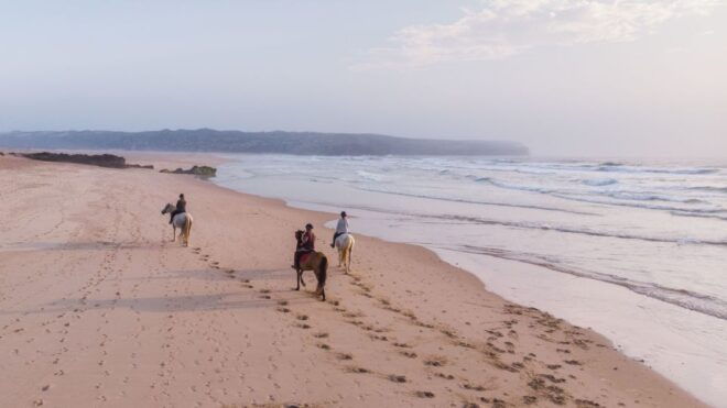 Algarve: Horse Riding Beach Tour at Sunset or Morning - Restrictions and Meeting Point