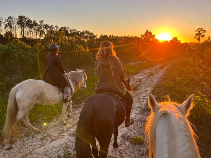 Algarve Horseriding tour in the countryside of Aljezur Rogil - An Overview of the Horse Riding Experience