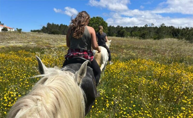 Algarve Horseriding tour in the countryside of Aljezur Rogil - Who Should Consider This Tour?