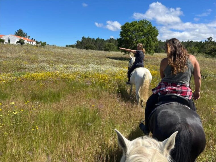 Algarve Horseriding tour in the countryside of Aljezur Rogil - FAQ