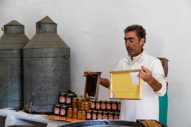 Algarve: Jeep Safari With Distillery Visit & Lunch - Reviews