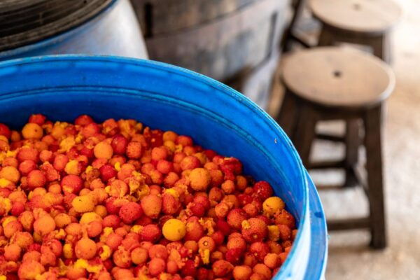 Algarve: Jeep Safari With Distillery Visit & Lunch - Directions