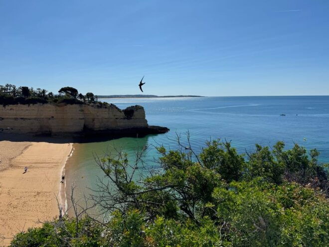 Algarve, Lisbon; V.I.P. Womens Road Trip With Female Guide - Pickup and Logistics