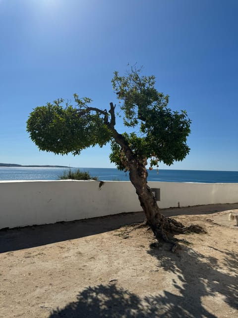 Algarve, Lisbon; V.I.P. Womens Road Trip With Female Guide - Safety and Comfort