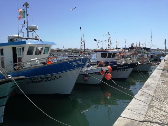 Algarve: Off-the-Beaten-Path Day Trip - Important Information