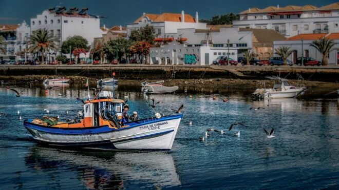 Algarve: Off-the-Beaten-Path Day Trip - Salt Production Secrets