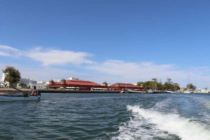 Algarve: Olive Oil, Market, and Ria Formosa Boat Tour - Algarve: Olive Oil, Market, and Ria Formosa Boat Tour