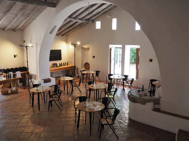 Algarve: Olive Oil, Market, and Ria Formosa Boat Tour - Good To Know