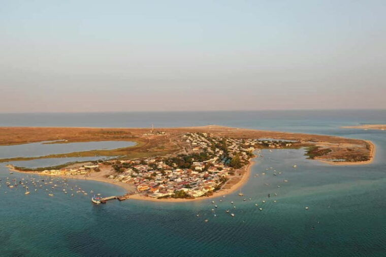Algarve: Olive Oil, Market, and Ria Formosa Boat Tour - The Sum Up
