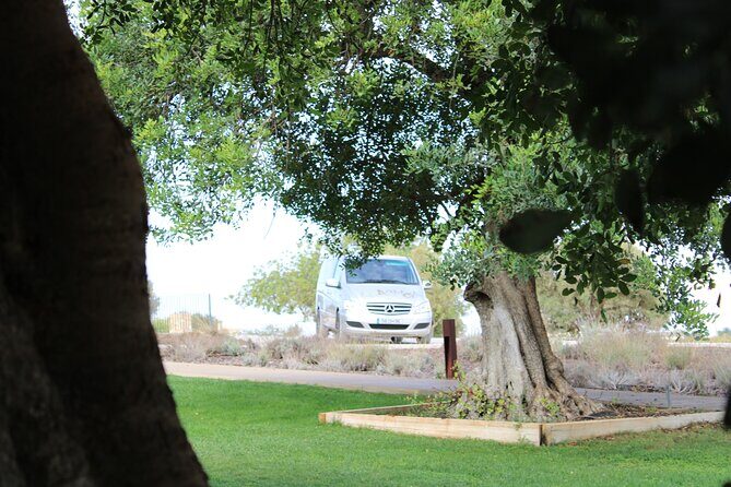 Algarve Private Tour - Good To Know