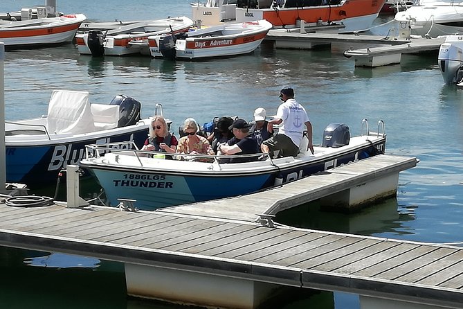 Algarve Private Tour From Lisbon - Transportation and Logistics